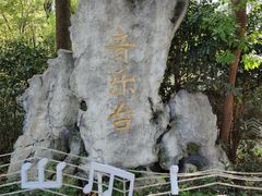 -音乐台