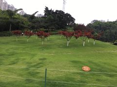 -龙头寺公园
