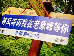 -老象峰