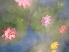 -潇湘楼(环保园店)