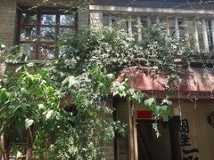 -两棵枇杷树