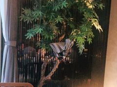 -老头儿油爆虾(星光一期店)