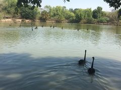 -长兴太湖图影湿地文化园