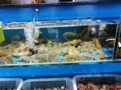 -港畔赶海蒸汽海鲜烧烤自助(仙螺岛店)
