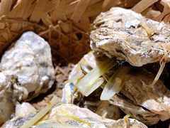 -臻炙大舍烤串(天龙家园店)