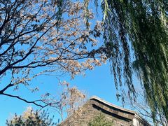 -春风习习