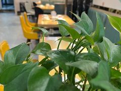 -老字号怡玺·藿香雅鱼(20年雅安店)