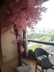 大堂-涂tu指甲日式美甲美睫店