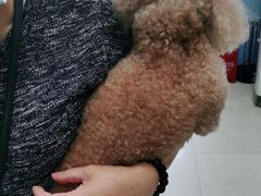 -申普宠物医院·眼科·心内科·影像科(普陀分院)
