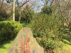 -南京市江宁方山