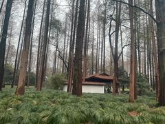 -杭州西湖柳莺里酒店·闻莺厅