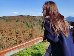 -山王坪喀斯特国家生态公园