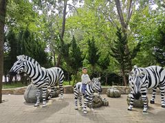 -大连森林动物园