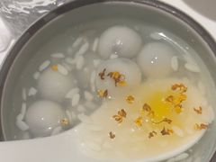 -圆苑(金茂店)