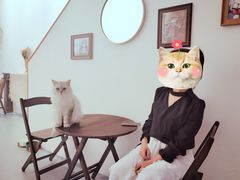 -猫友咖啡店(玉林西路店)