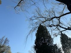 -颐和园