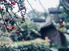 -韩湘水博园