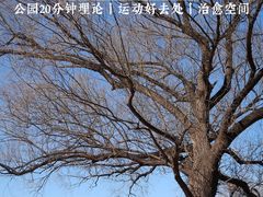 -北京奥林匹克公园