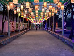-广东花都香草世界旅游度假区