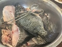 -草墩罗非鱼庄•野生菌•腊排骨(七星街上段店)