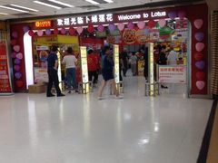 -卜蜂莲花(杨高南路店)