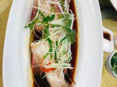 -惠州康帝国际酒店