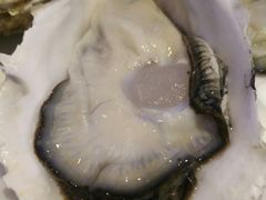 -千岛蚝高压锅生蚝·人参火锅(白云万达店)