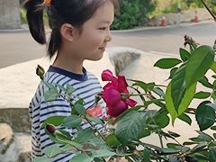 -宜昌富力皇冠假日酒店·咖啡1号西餐厅