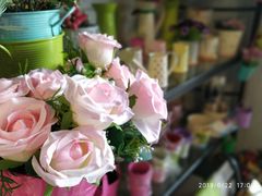 -桂林市花鸟市场