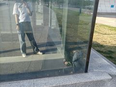 -哈尔滨大剧院