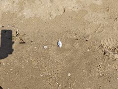 -白城沙滩
