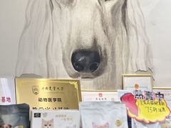 -美联众合动物医院·24h转诊中心