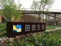 -田园东方蜜桃村的田野营地