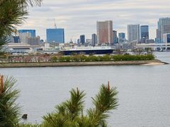 -台场海滨公园船码头