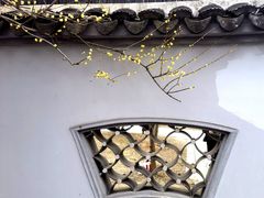 -无锡梅园公园