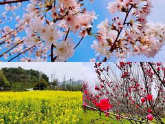 -黄陂区野村谷景区