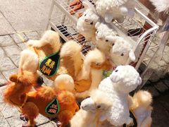 -新疆国际大巴扎