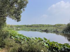 -同里国家湿地公园