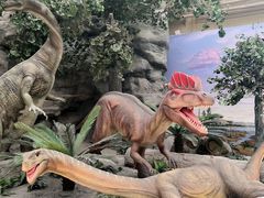 -国家自然博物馆