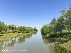 -上海滨江森林公园