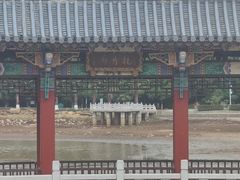 -洛龙公园