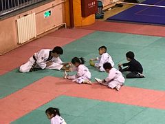 -武术世家少儿培训中心(首都体育学院店)
