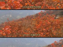 -周口店坡峰岭风景区