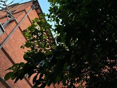 -Ocean's Table 欧舍