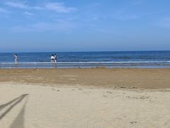 -日照海滨国家森林公园