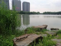 -南翔镇银翔湖公园