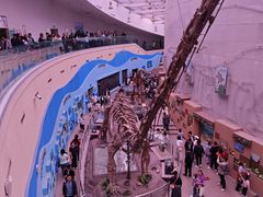 -陕西自然博物馆