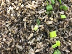 -鸽鸟轩(石岐店)