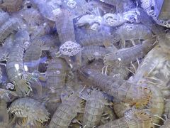 -77号渔船·蒸海鲜青岛菜(积米崖店)