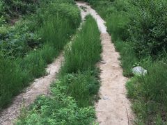 -白水寺森林公园